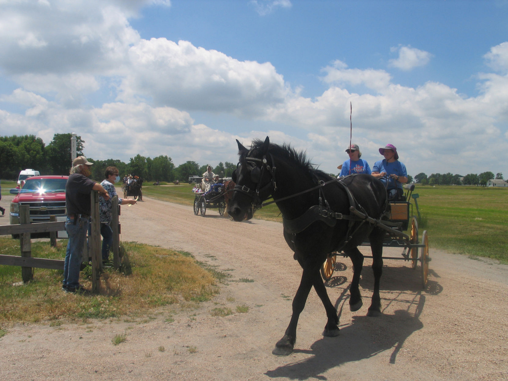 06 20 HORSES 04.JPG
